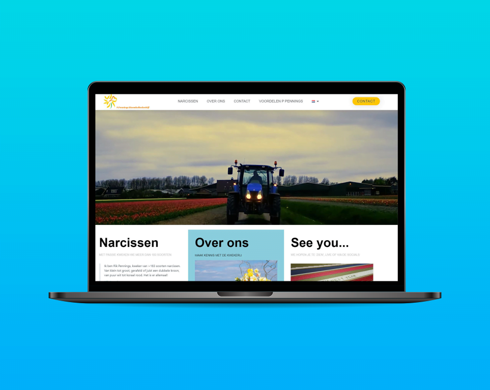 website-webprof-ppenings