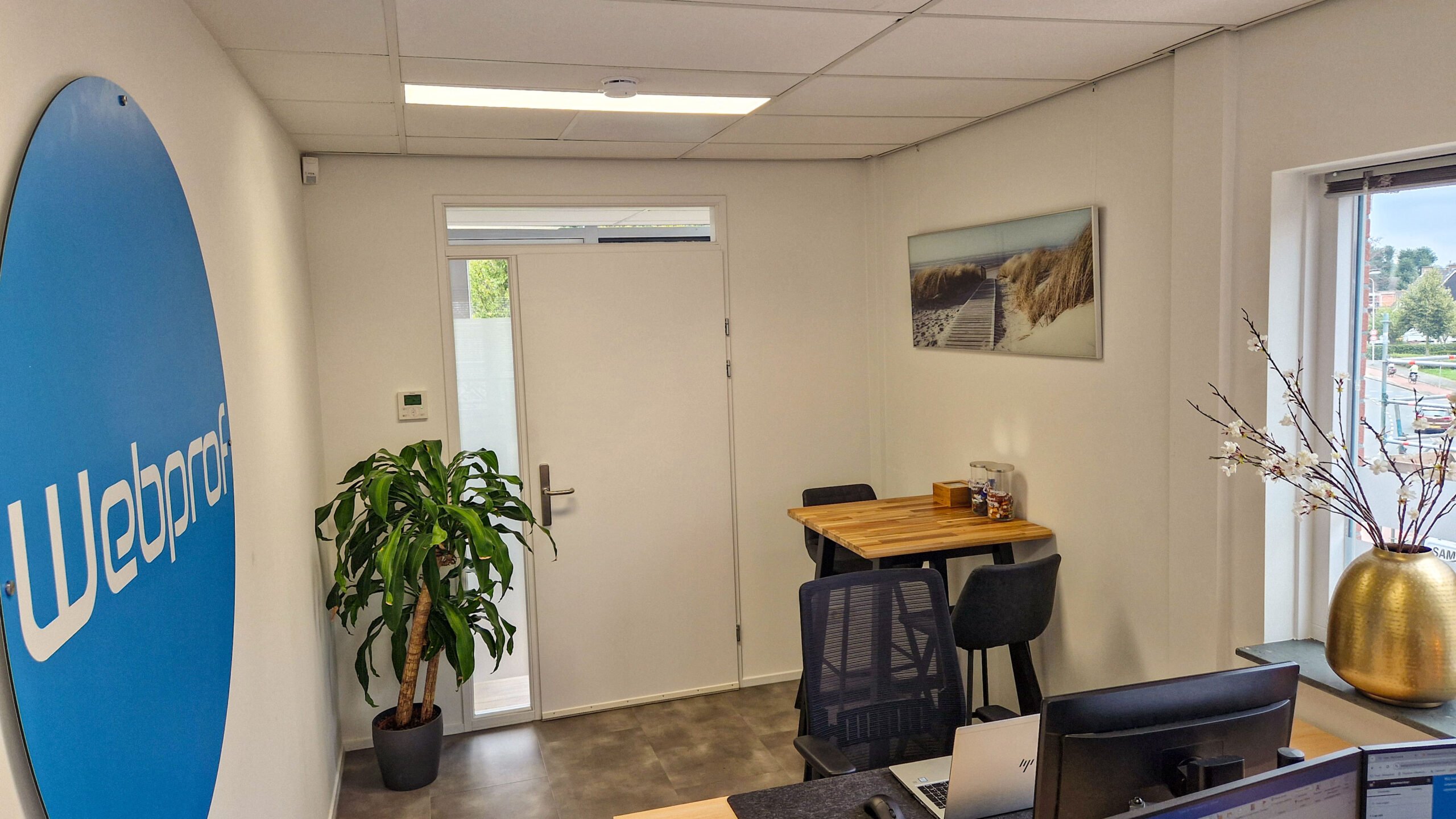 Webdesign-bollenstreek