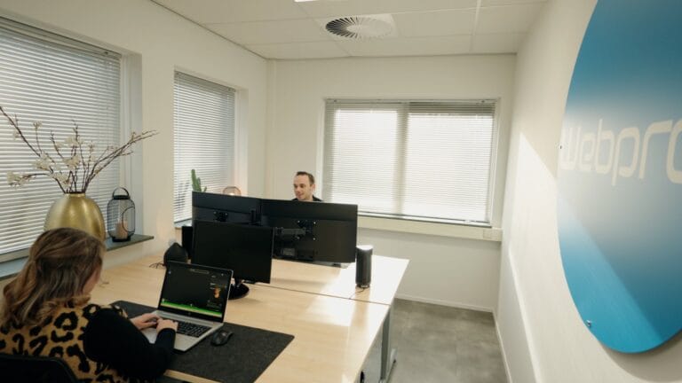 Webprof SEA strategie voor maximaal rendement uit zoekmachine adverteren